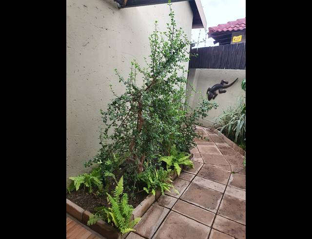 3 BEDROOM FREEHOLD FOR SALE IN WATERVAL EAST